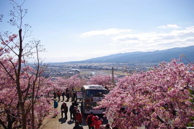 高台で心地よい。お店も大混雑。