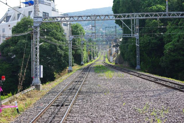 ミケに乗車して出発。アナウンスも可愛らしい。