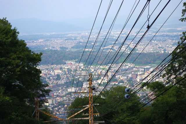 林間から地上が少し見える。かなりの高さ。