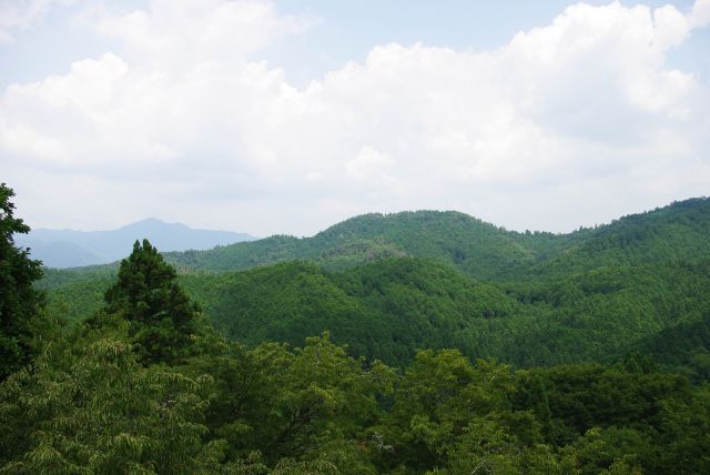 窓からは山並みの風景。