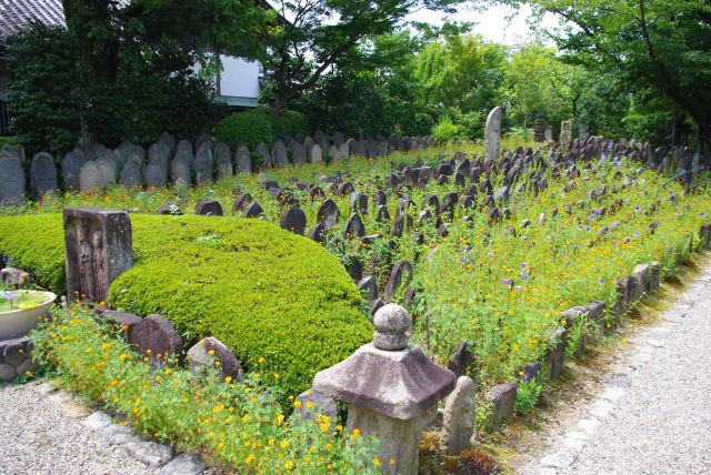 お花に囲われた石仏。