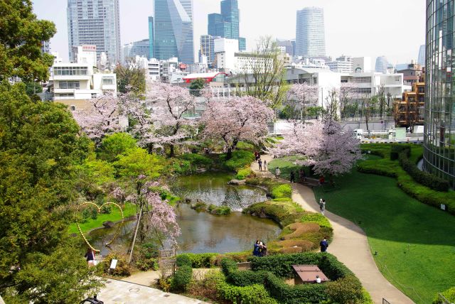 六本木ヒルズ側から毛利庭園を見渡す。