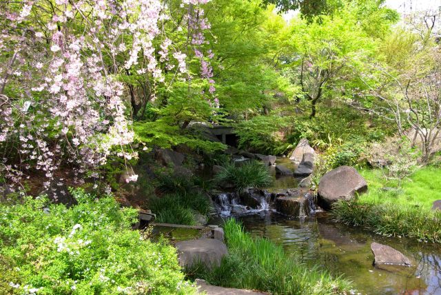 池に流れる小川のせせらぎ。