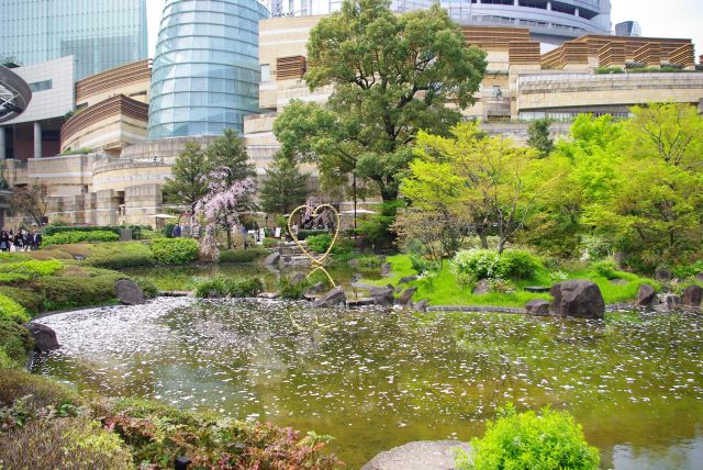 散った桜の花びらが池を覆う。