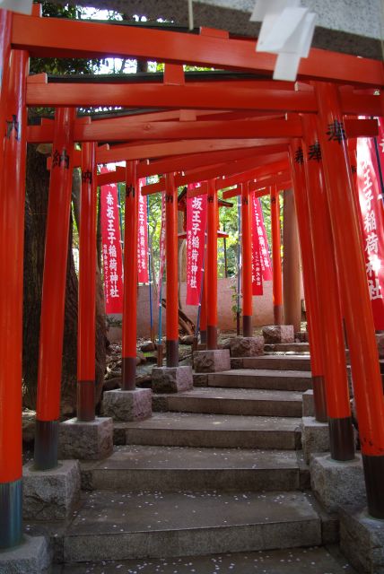 鳥居が沢山で幻想的。