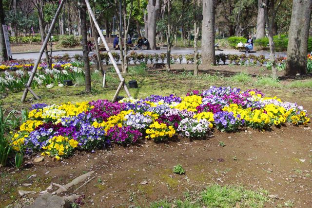 鮮やかなお花が並ぶ。