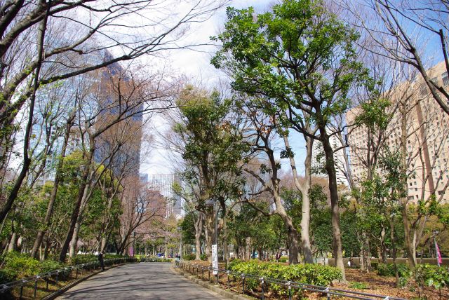 都会の中の心地よい空間。