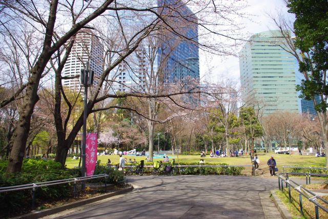 芝生の広場には人が集まる。