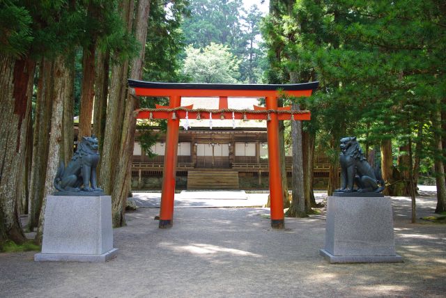 山王院と鳥居。