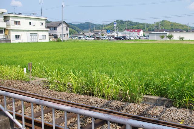 駅前は水田が広がるのどかな風景。訪問翌日にコンビニがオープン。