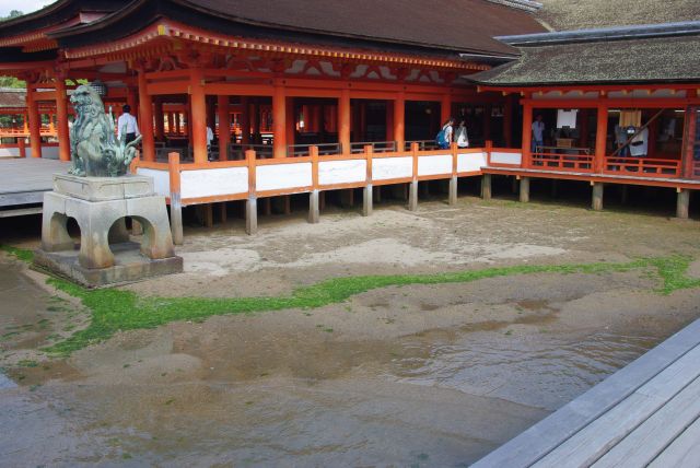 今の水位では御本殿は陸の上。