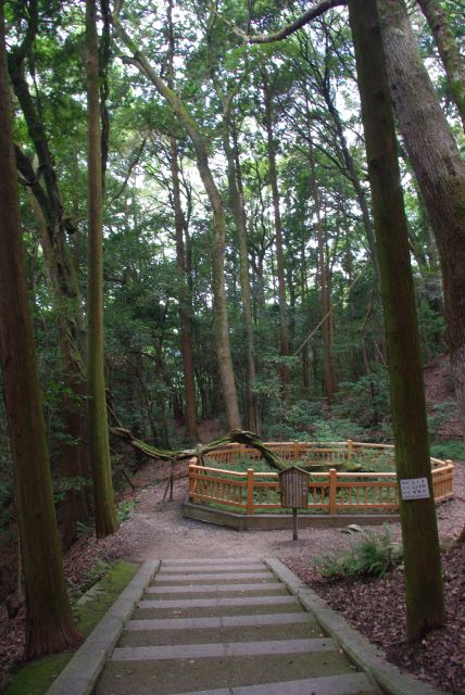 山頂は山道で地上より涼しい。大釣井（おおつるい）は非常時の武器弾薬庫、脱出口の井戸。大きく曲がった木が印象的。