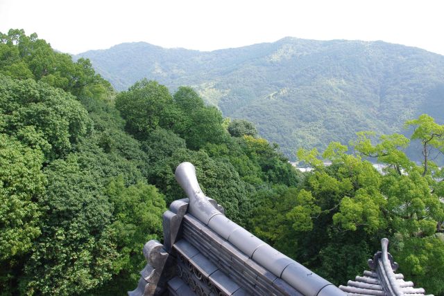 周囲は豊かな緑の山々。