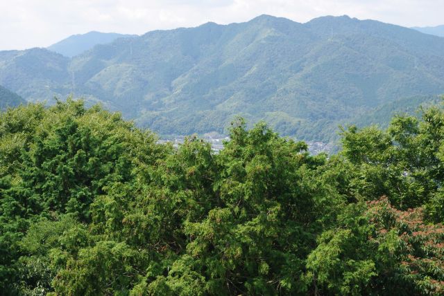 南西側、錦川の上流も豊かな山々。新幹線の新岩国駅があります。