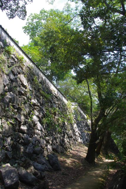 より険しい山道側から戻ります。