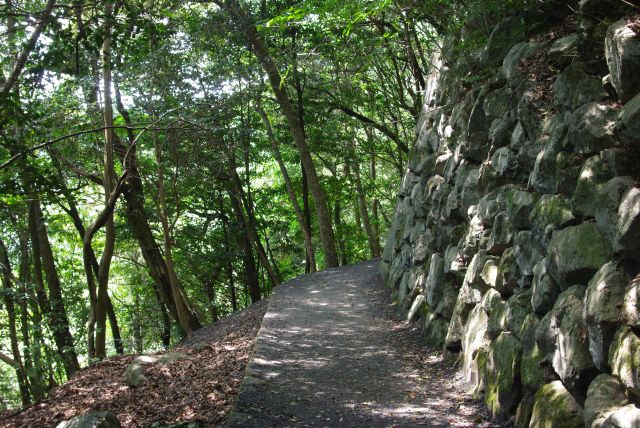 斜面の下は地上への急斜面！路も高低差があります。