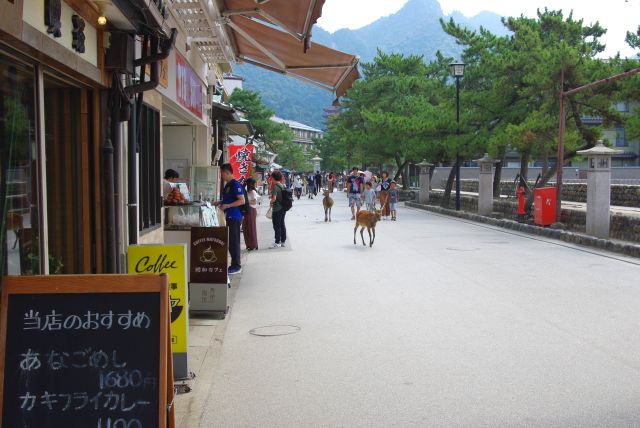 名物の牡蠣、穴子などのお店が続き良い香りが漂う。鹿も行き交う。