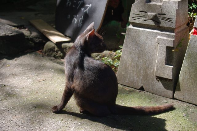 他の猫も登場。後ろに猫のオブジェも。