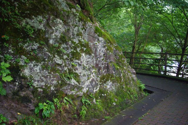 岩と苔の遊歩道。