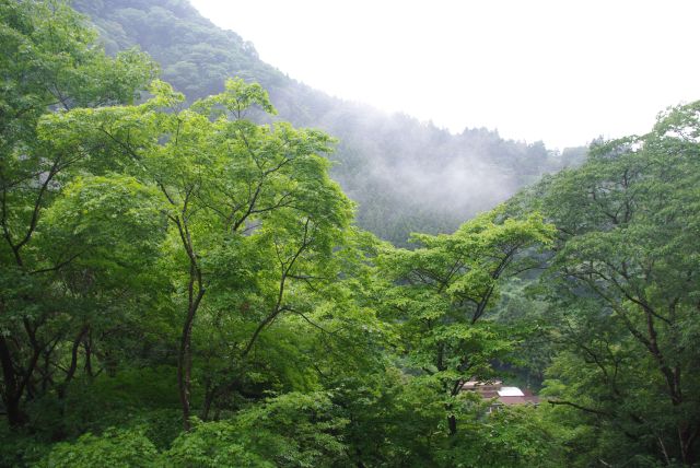 周辺は霧がかった山の風景。