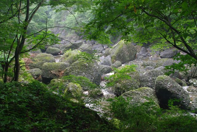 岩が増えていく。あの水量はどこへ行ったのだろう。