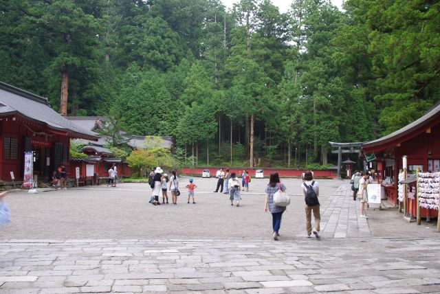 境内の様子。奥の桜門は東照宮へと続く。