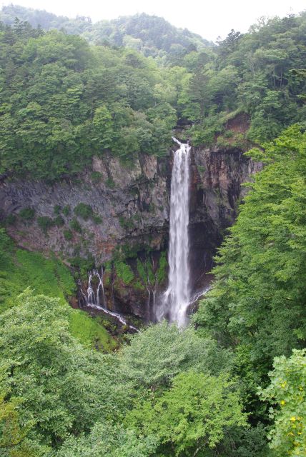 ダイナミックな自然の中にある滝。