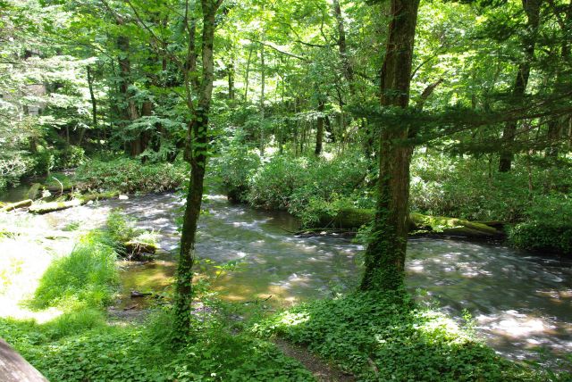 竜頭の滝、中禅寺湖方面へ流れる。