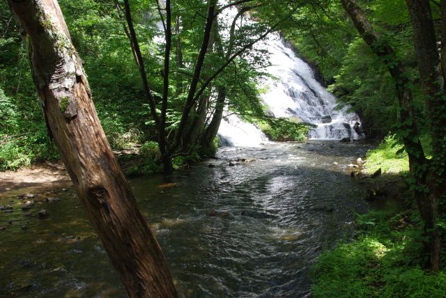 滝はすぐ右に曲がっている。