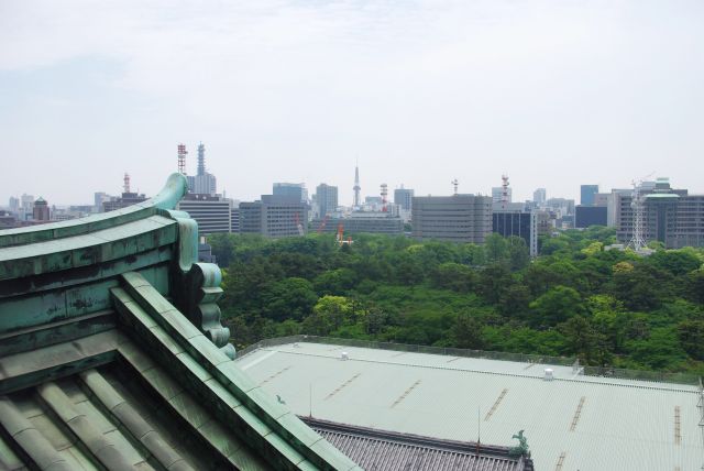 緑の先に官庁街が広がる。