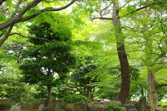 静かで緑豊かな園内を進む。