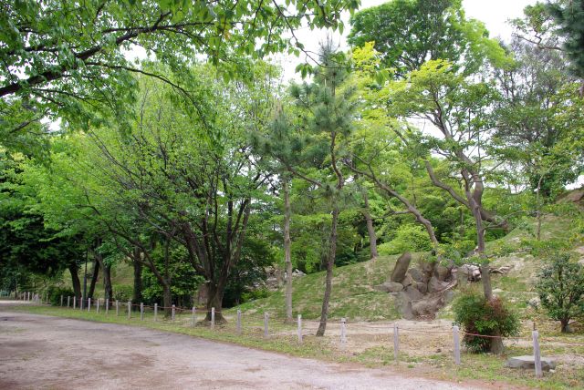 堀沿いは自然の野山のよう。