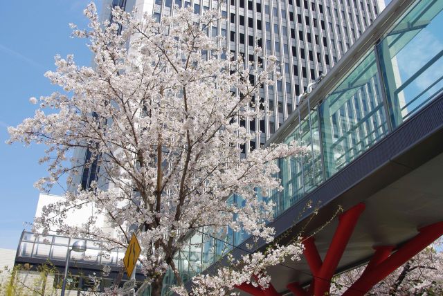 東京メトロ南北線六本木一丁目駅からスペイン坂へ。