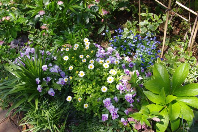 様々なきれいな草花に癒される。