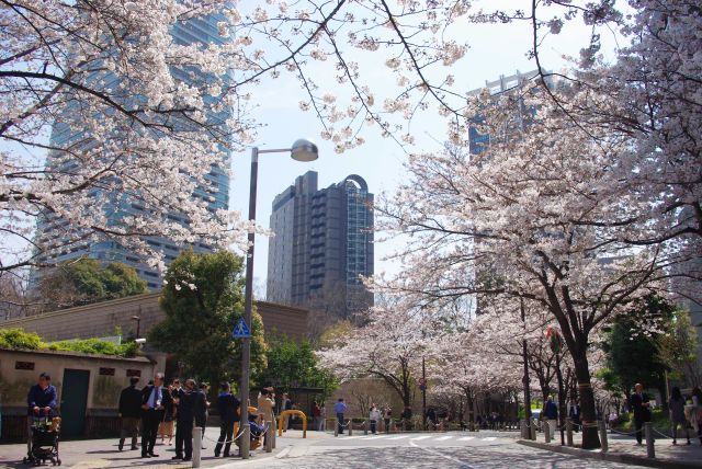 坂の頂上の交差点も人が集まる。セレブな雰囲気な街並みへ。