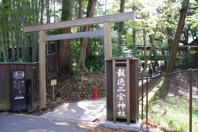 小田原城からは裏口から入る形に。自然が生い茂る。