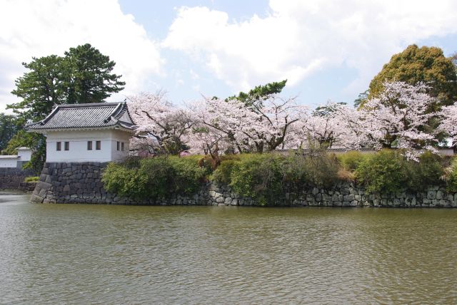 二の丸にも桜があふれる。