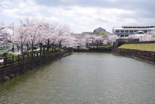 馬出門へ。まだ堀と桜は続きます。