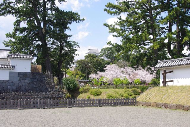 堀の先に天守閣が見える。