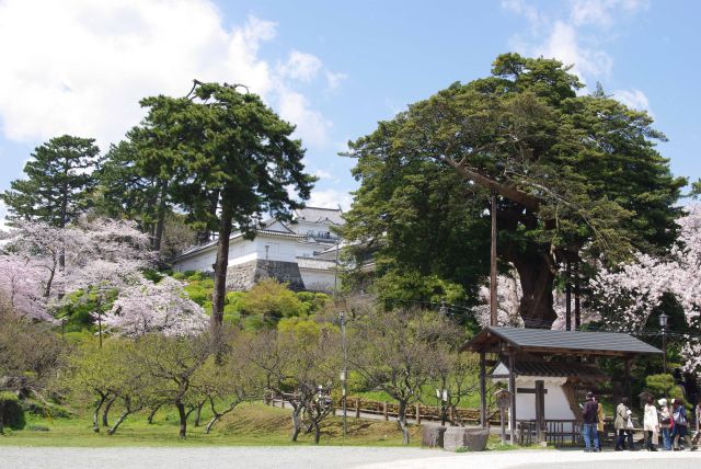 二の丸・銅門広場へ。天守閣が近づいてきた。