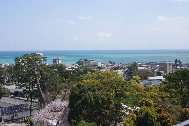 城内の緑とまっすぐな水平線。