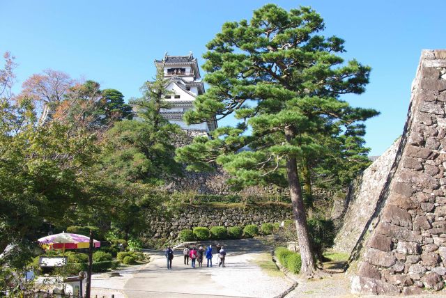 天守はまだ何段もの石垣の上。