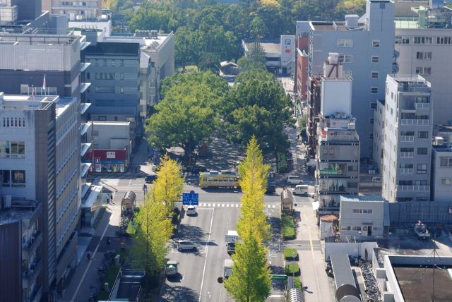 高さはありますが街の音や路面電車の音も聞こえます。