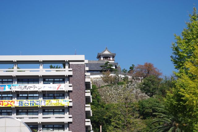 県庁越しに見る天守。