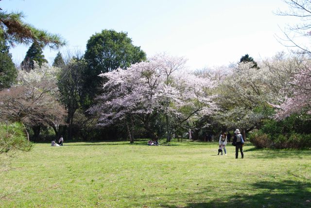 二の丸跡の広場。