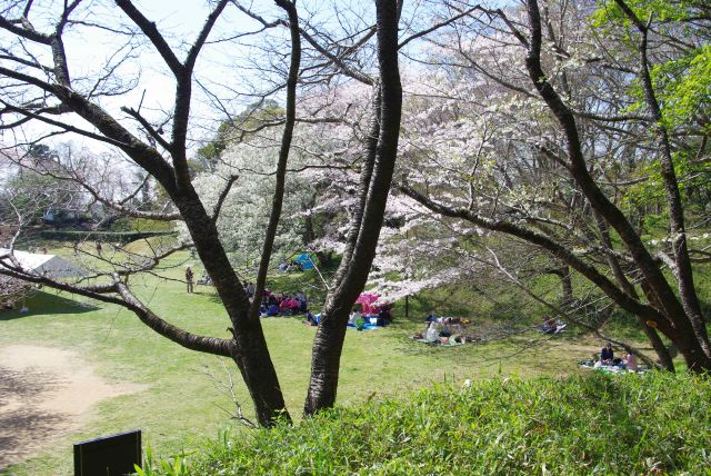 周囲を巡る土手に登ることができます。