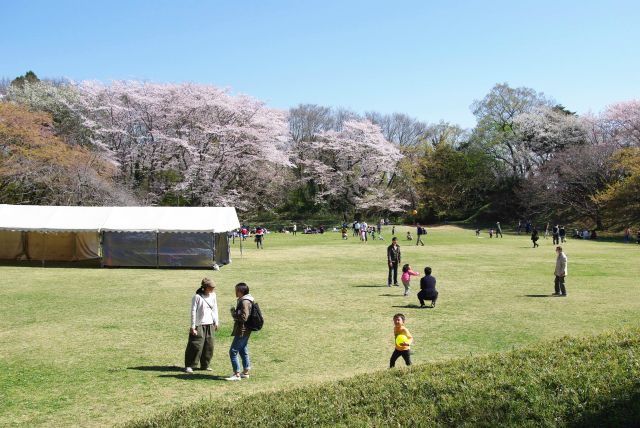 本丸広場では親子連れが遊びます。