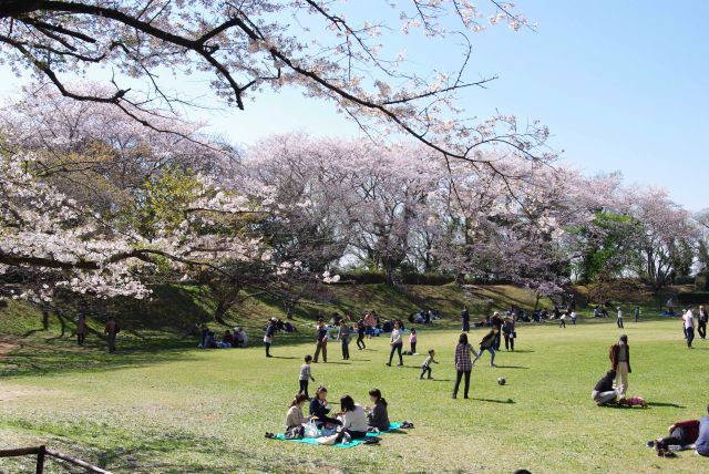 素晴らしい憩いの場です。