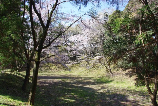 もう一カ所の出丸跡。