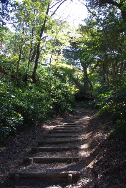 へび坂を上ります。